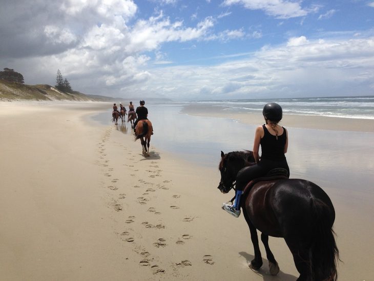 passeggiata a cavallo spiaggia
