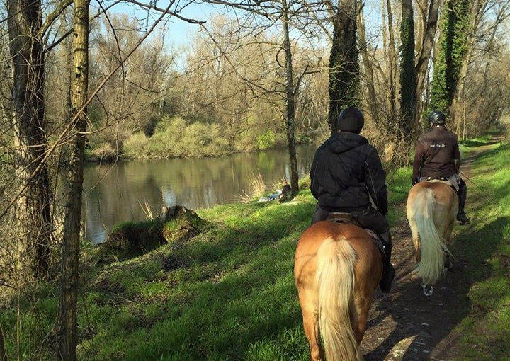 cavaliere in passeggiata a cavallo lungo fiume in campagna