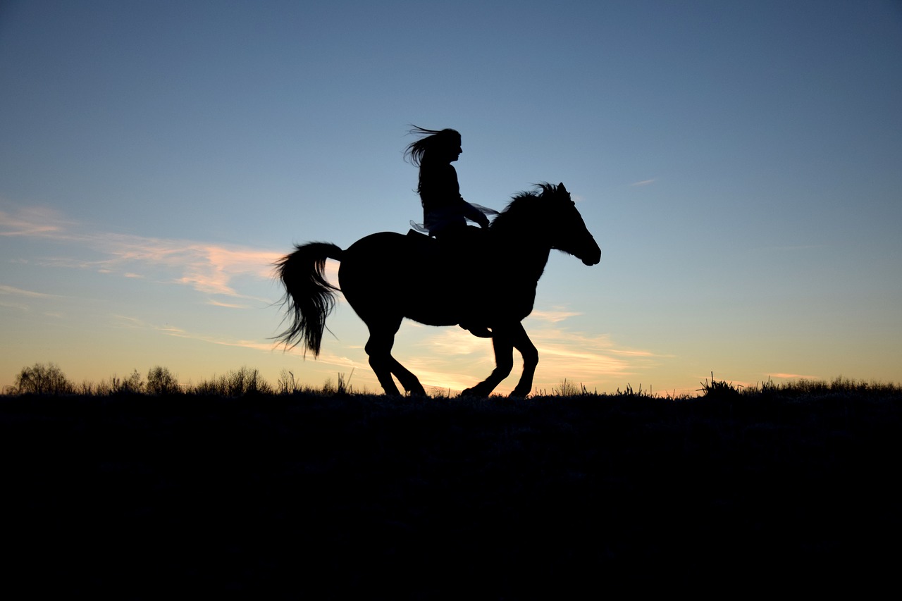 prenotare un'escursione a cavallo horsetouring
