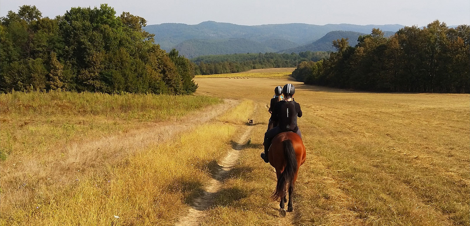 6 consigli pratici per iniziare le vacanze a cavallo in Italia