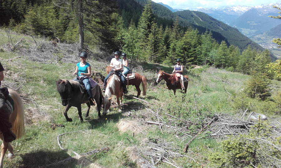 Uscita a cavallo in Val di Vizze, che avventura! Giornata Intera