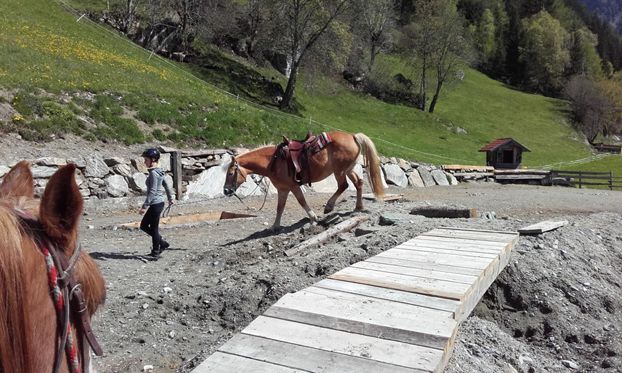 <it>Uscita a cavallo in Val di Vizze, che avventura!</it>