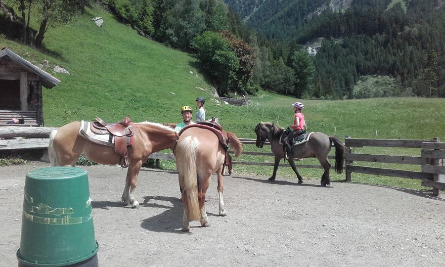 <it>Uscita a cavallo in Val di Vizze, che avventura!</it>