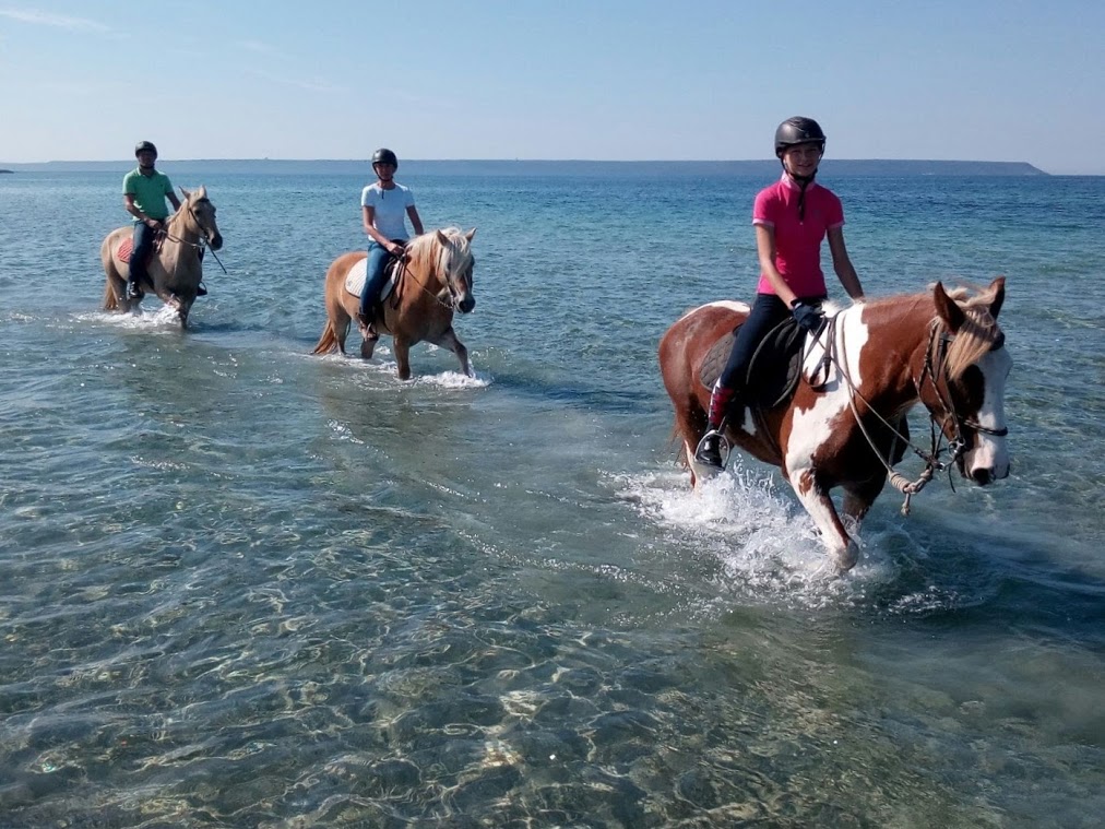 Campo estivo a cavallo per ragazzi in Sardegna 14 giorni