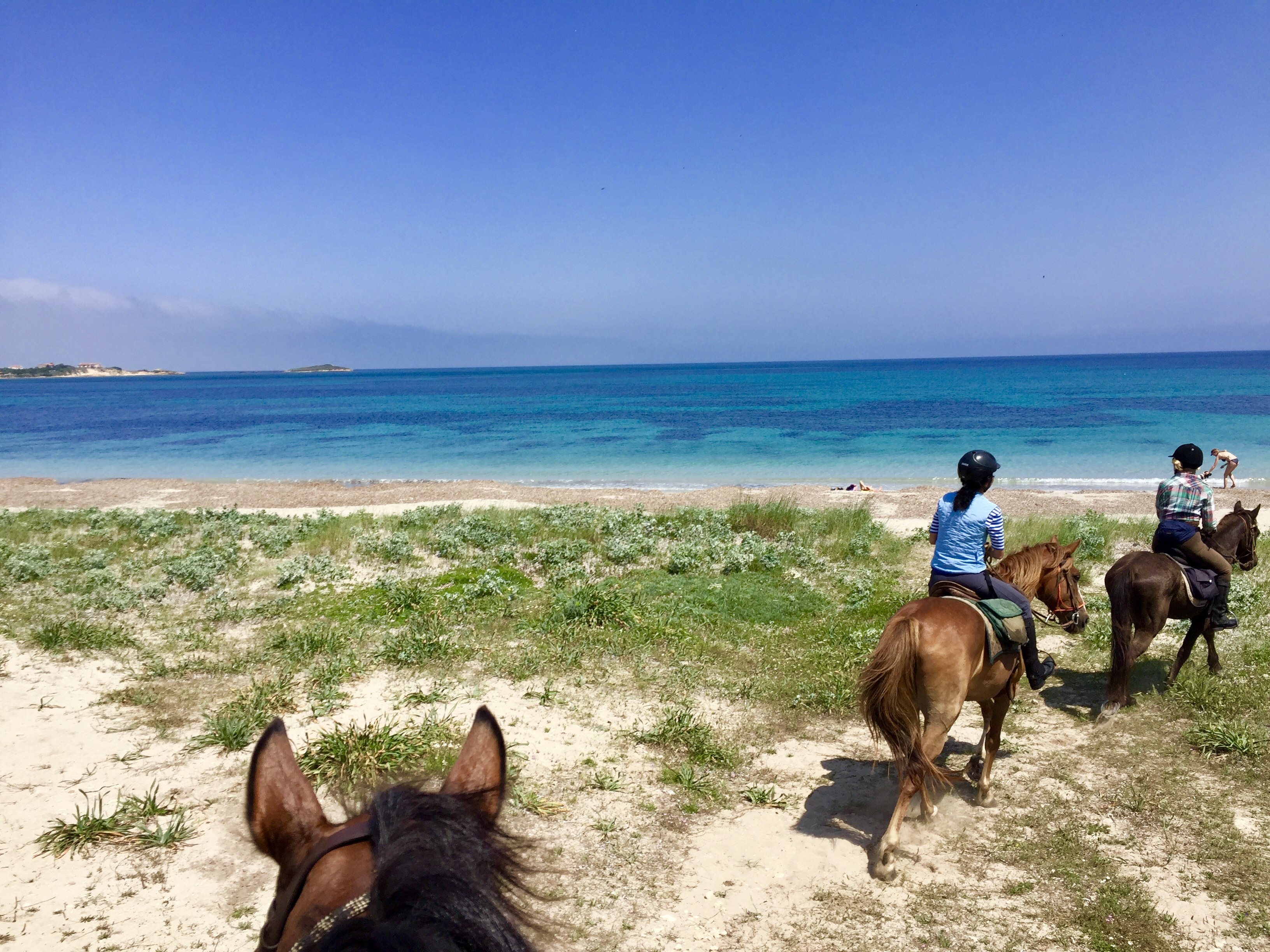 Campo estivo a cavallo per adulti in Sardegna 14 giorni