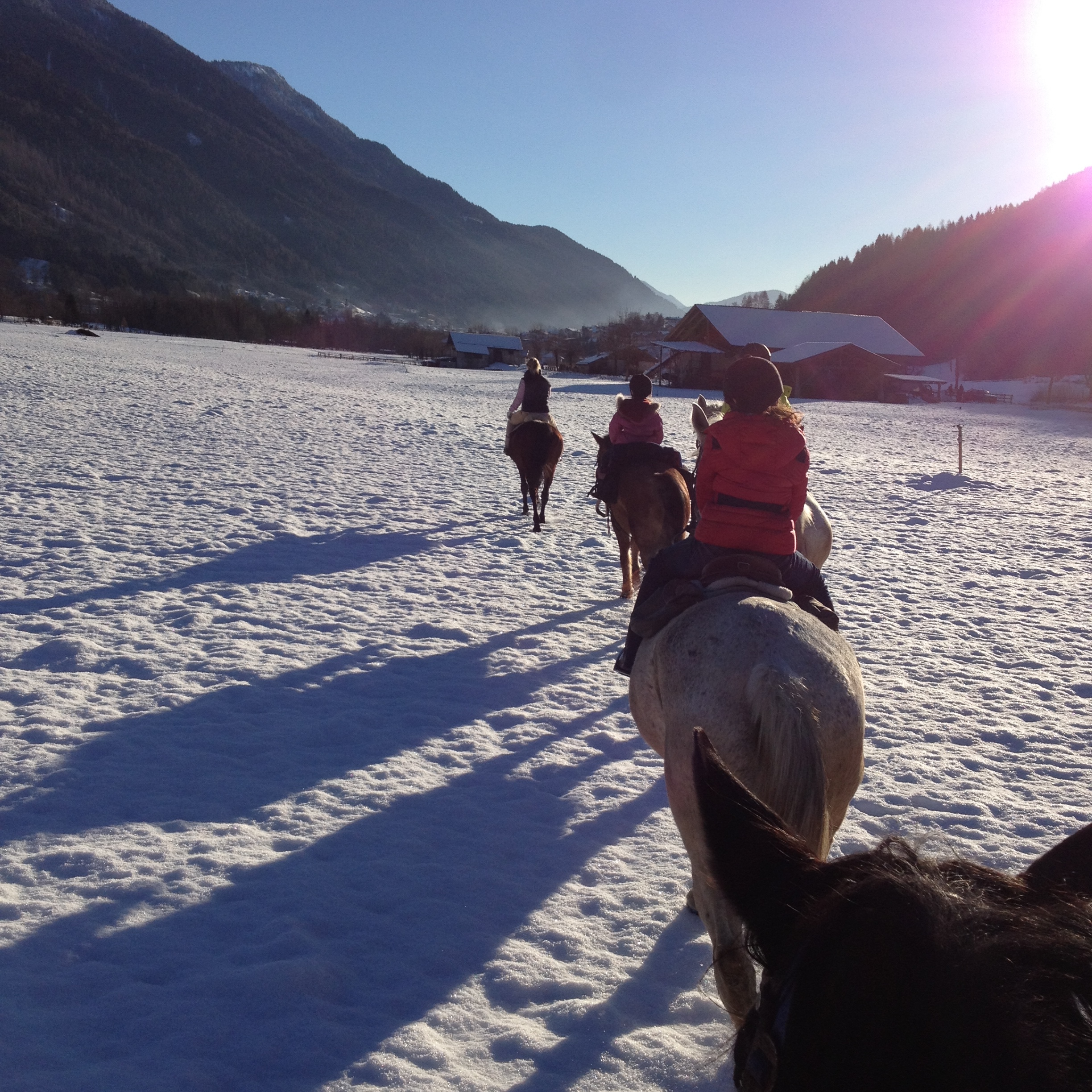 Passeggiate a cavallo sulla neve